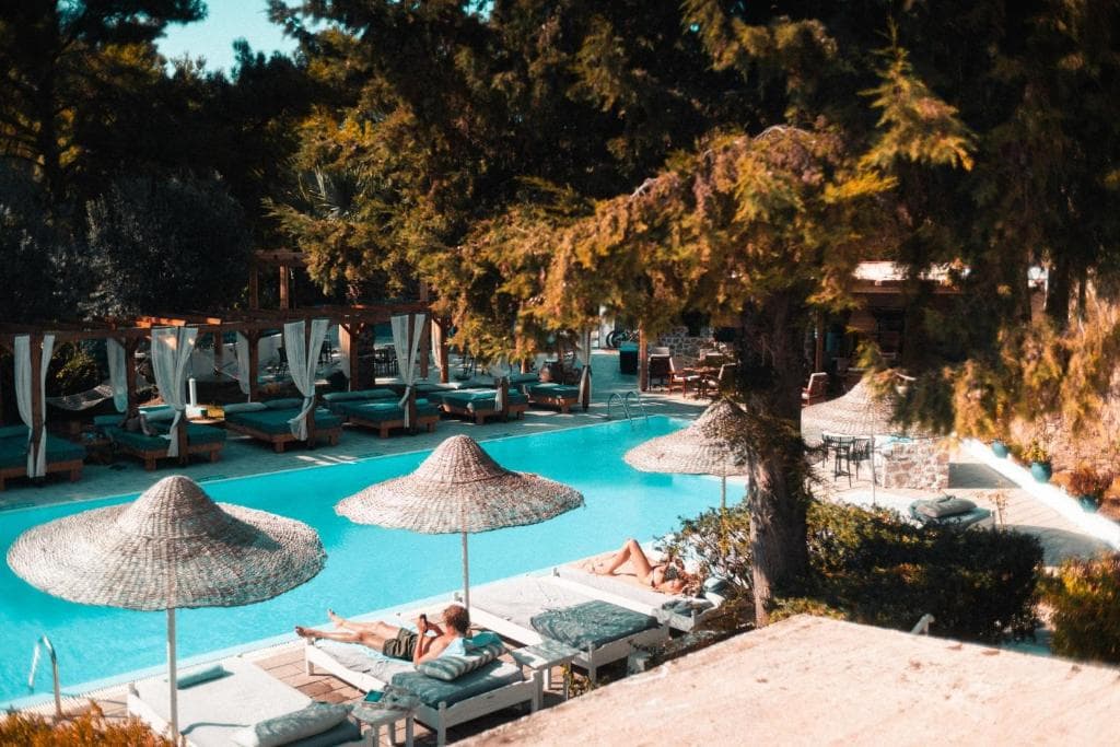 The pool at Casa Trees among the pines, with pergola daybeds